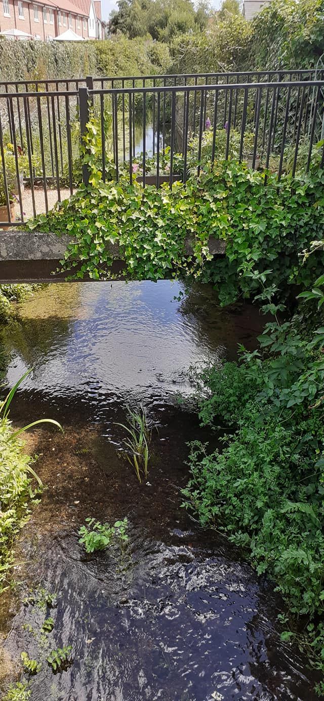 2022-07-14 25 Angles Way 17 - Bigod Way and Bath Hills.jpg