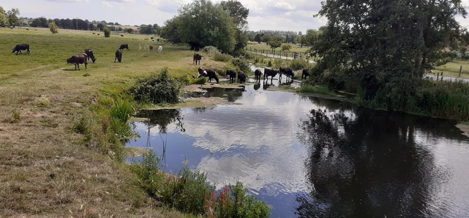 2022-07-14 26 Angles Way 17 - Bigod Way and Bath Hills.jpg