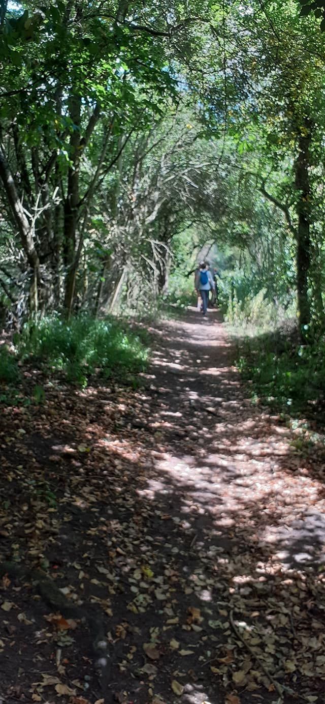 2022-07-14 28 Angles Way 17 - Bigod Way and Bath Hills.jpg