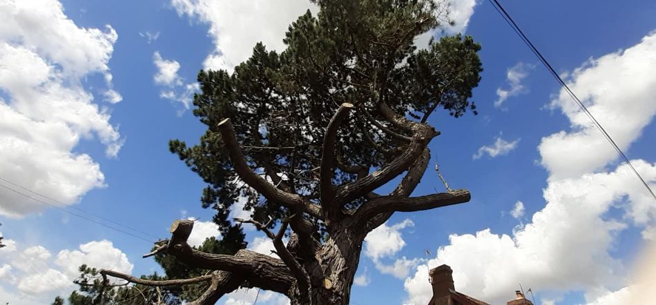 2022-07-14 32 Angles Way 17 - Bigod Way and Bath Hills.jpg