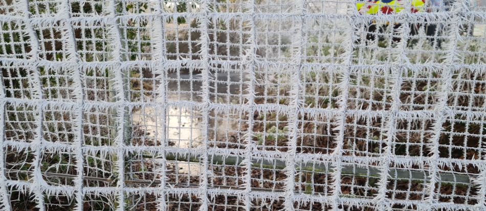 2022-12-11 01 Shoe Devil and Fen Farm.jpg