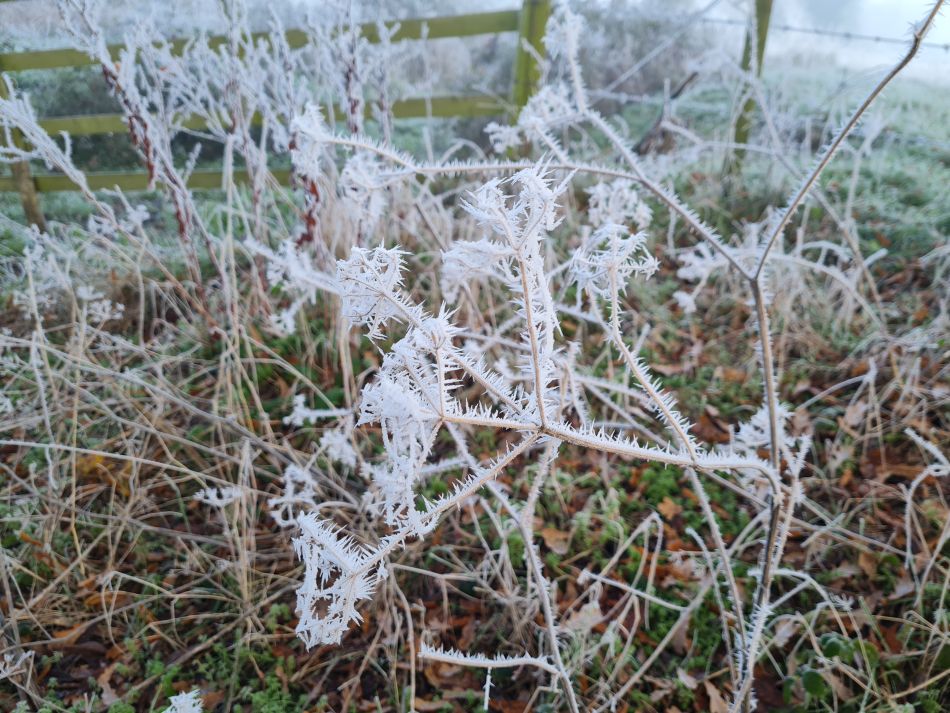 2022-12-11 03 Shoe Devil and Fen Farm.jpg