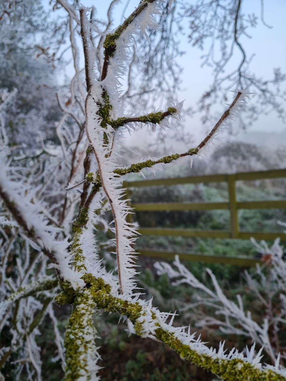 2022-12-11 04 Shoe Devil and Fen Farm.jpg