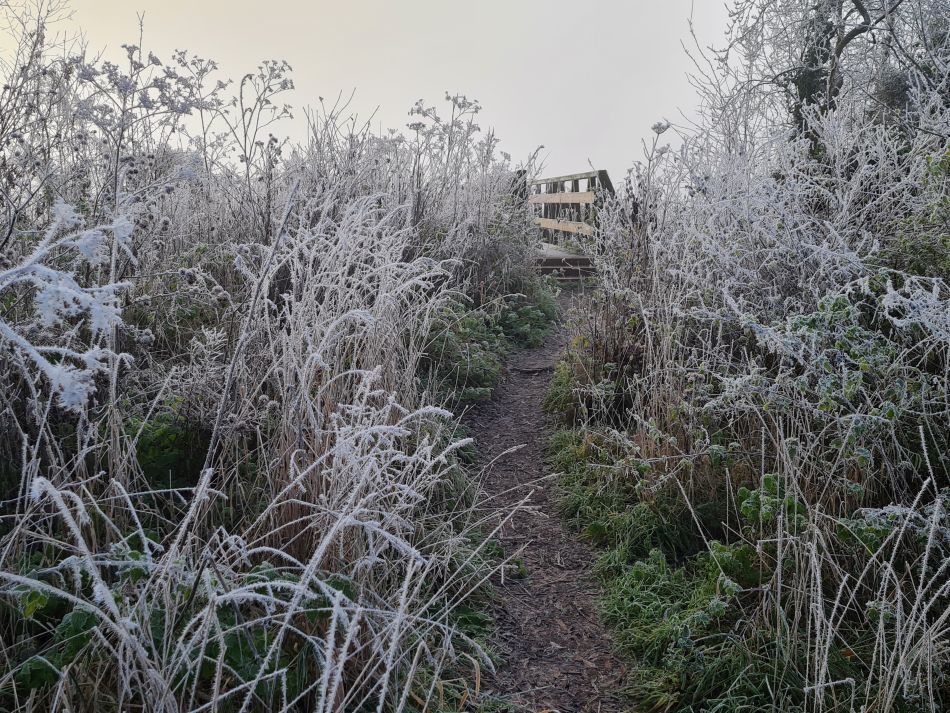 2022-12-11 07 Shoe Devil and Fen Farm.jpg