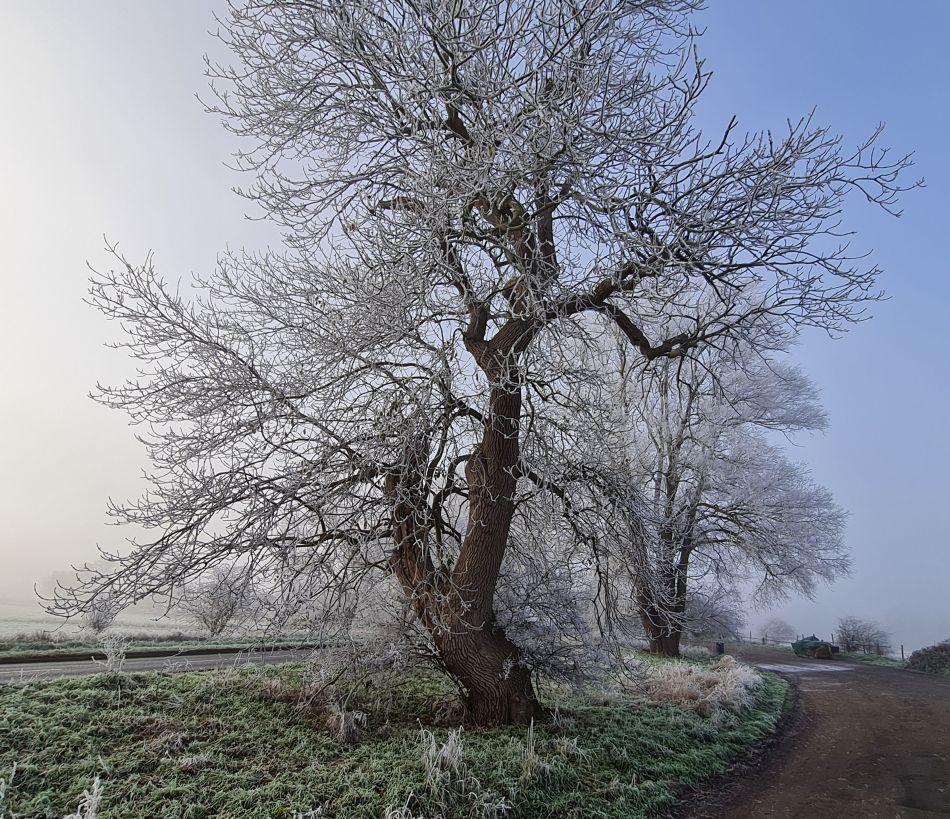 2022-12-11 08 Shoe Devil and Fen Farm.jpg