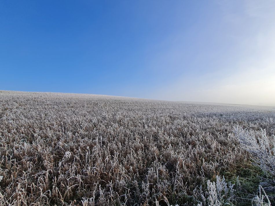 2022-12-11 09 Shoe Devil and Fen Farm.jpg