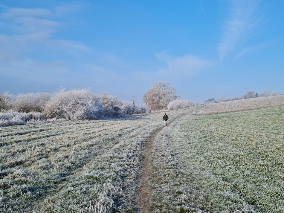 2022-12-11 12 Shoe Devil and Fen Farm.jpg