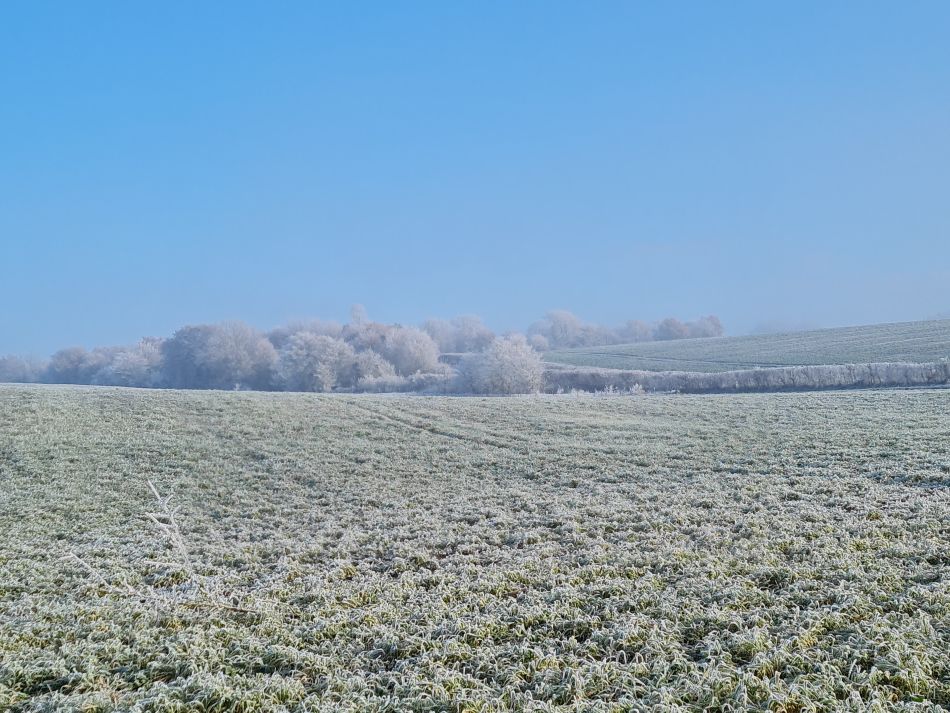 2022-12-11 13 Shoe Devil and Fen Farm.jpg