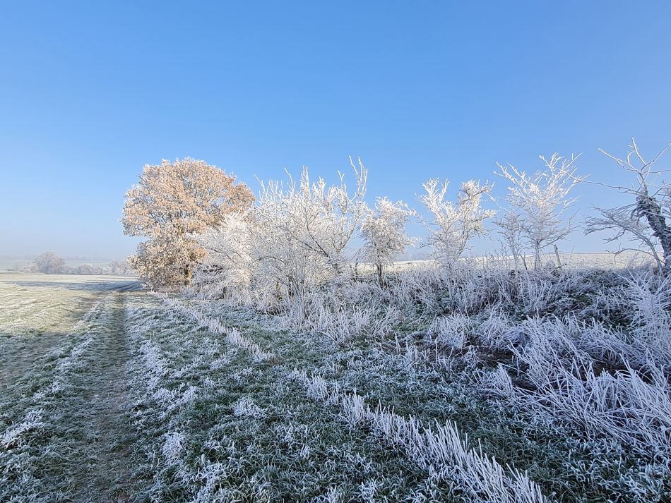 2022-12-11 14 Shoe Devil and Fen Farm.jpg