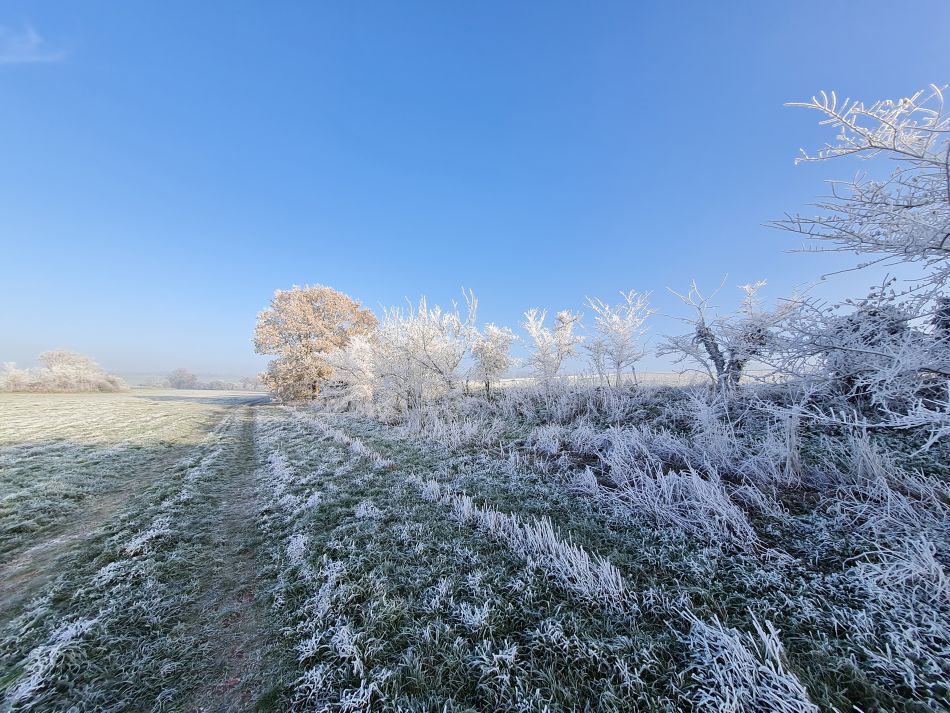 2022-12-11 15 Shoe Devil and Fen Farm.jpg