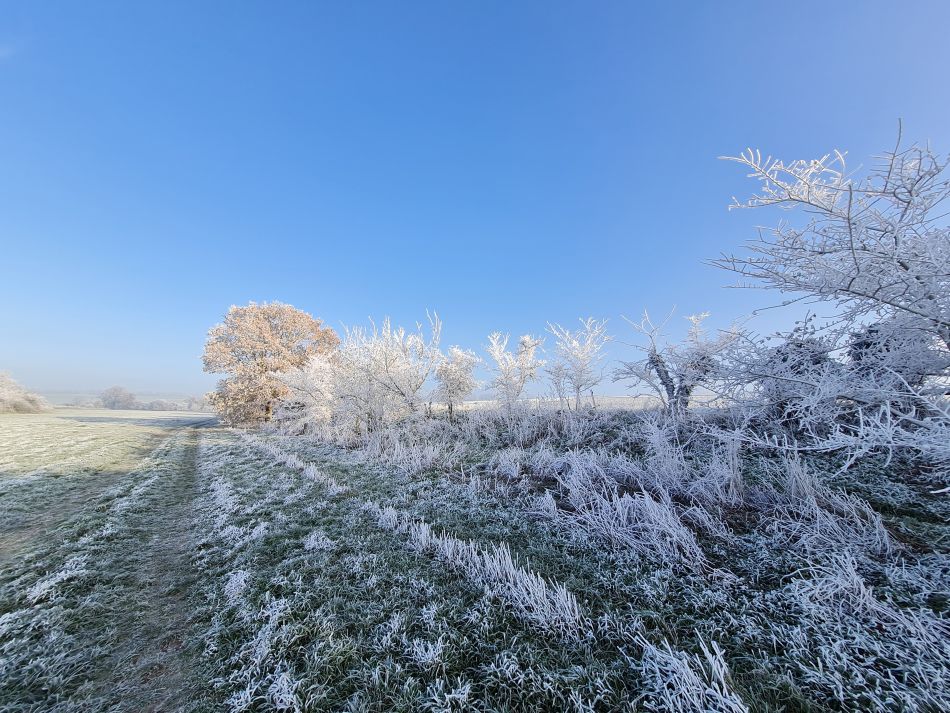 2022-12-11 16 Shoe Devil and Fen Farm.jpg