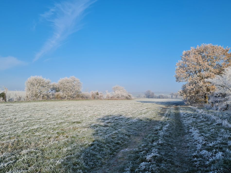 2022-12-11 17 Shoe Devil and Fen Farm.jpg