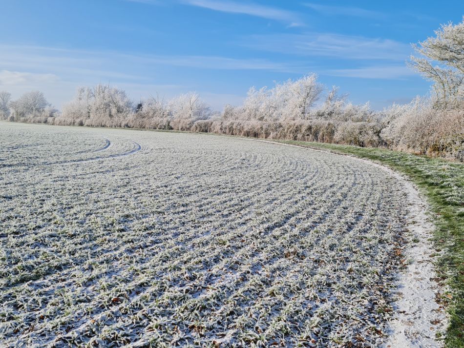 2022-12-11 18 Shoe Devil and Fen Farm.jpg