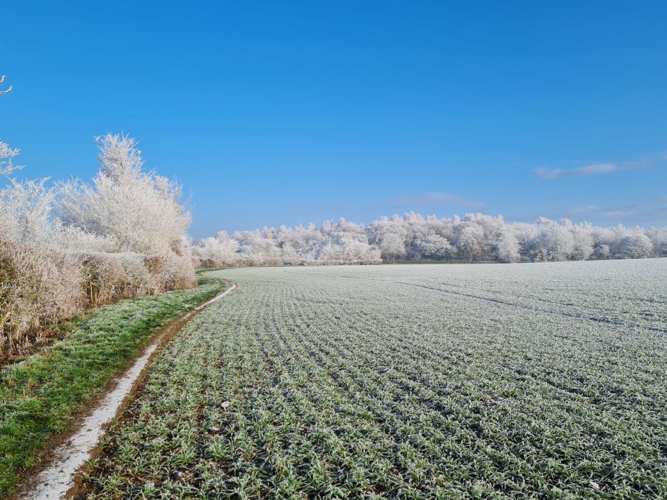 2022-12-11 19 Shoe Devil and Fen Farm.jpg