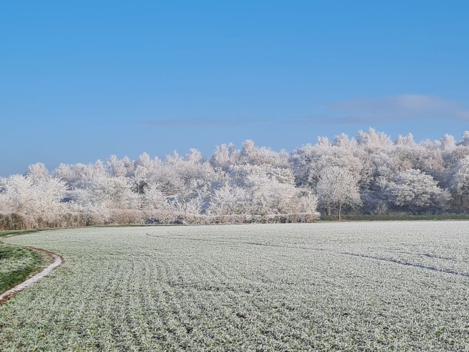 2022-12-11 20 Shoe Devil and Fen Farm.jpg