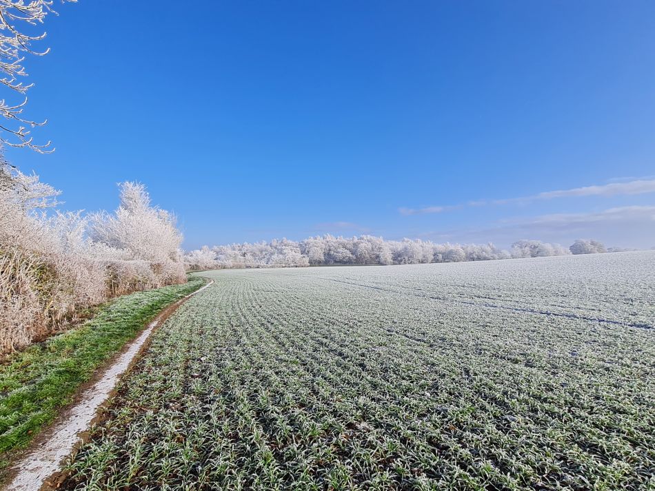 2022-12-11 21 Shoe Devil and Fen Farm.jpg