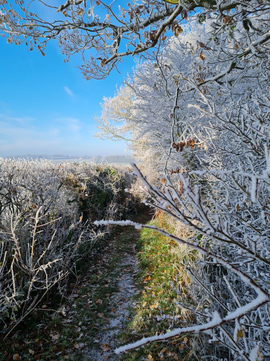 2022-12-11 22 Shoe Devil and Fen Farm.jpg