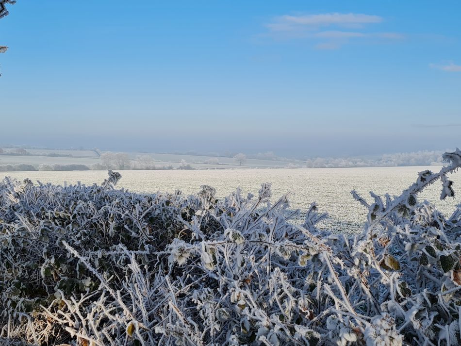 2022-12-11 24 Shoe Devil and Fen Farm.jpg