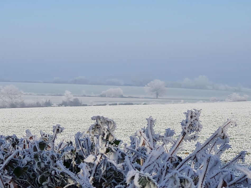 2022-12-11 25 Shoe Devil and Fen Farm.jpg