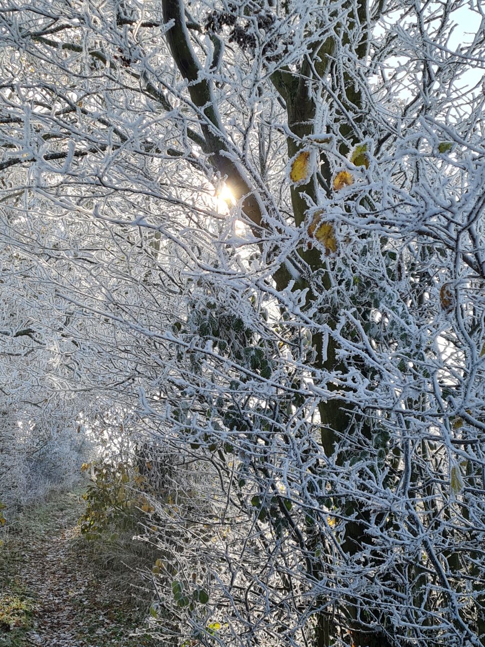 2022-12-11 26 Shoe Devil and Fen Farm.jpg