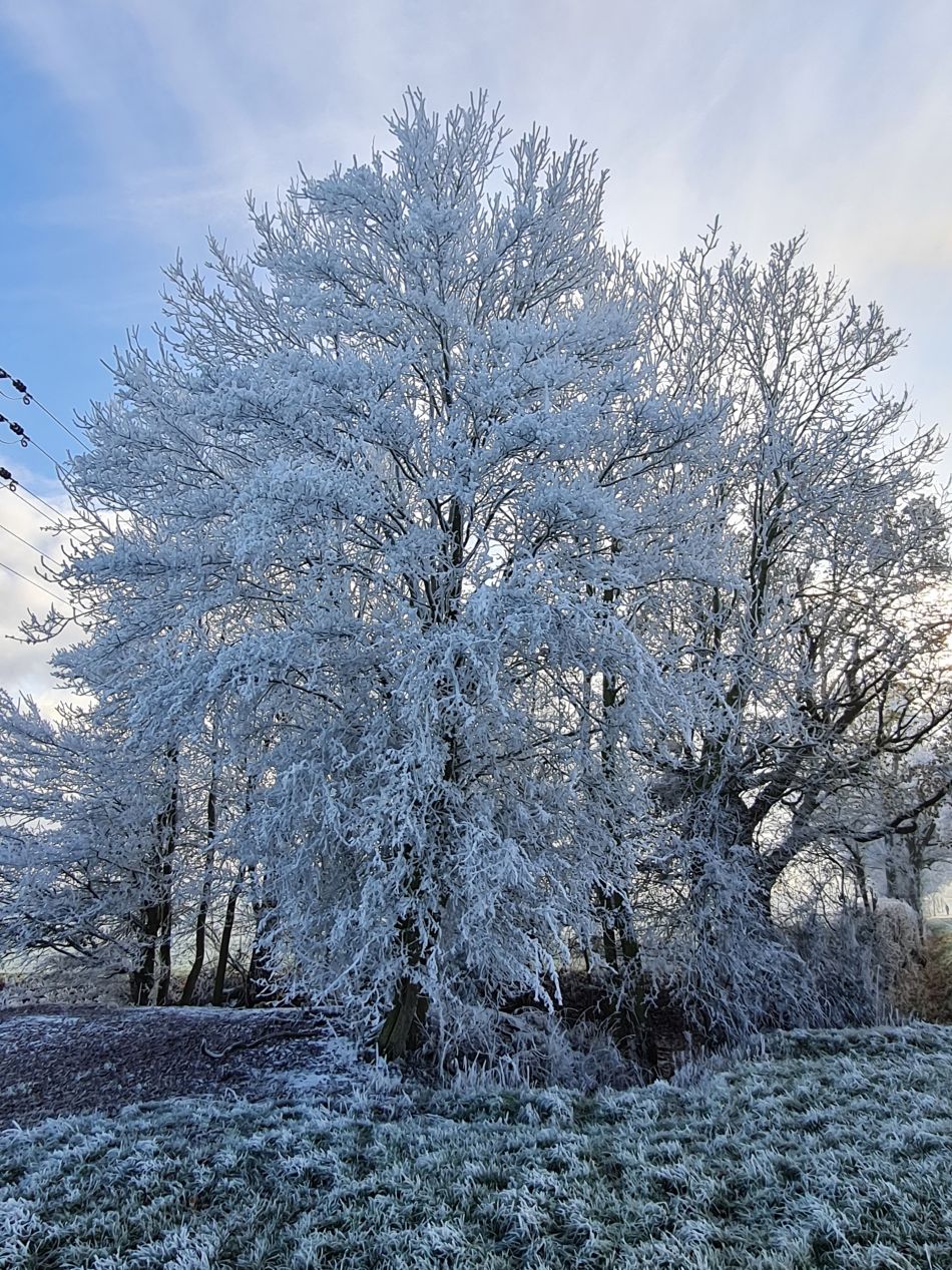 2022-12-11 27 Shoe Devil and Fen Farm.jpg