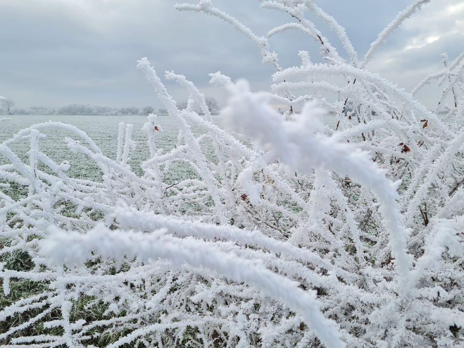 2022-12-11 36 Shoe Devil and Fen Farm.jpg