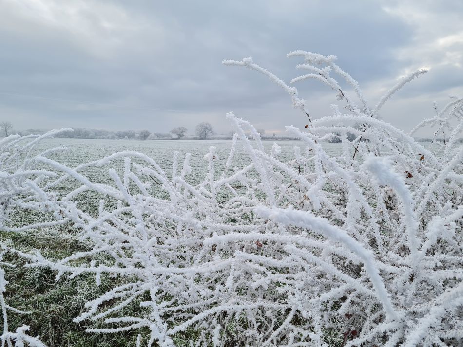 2022-12-11 37 Shoe Devil and Fen Farm.jpg