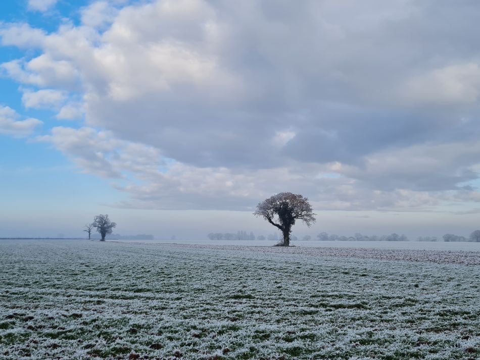 2022-12-11 39 Shoe Devil and Fen Farm.jpg