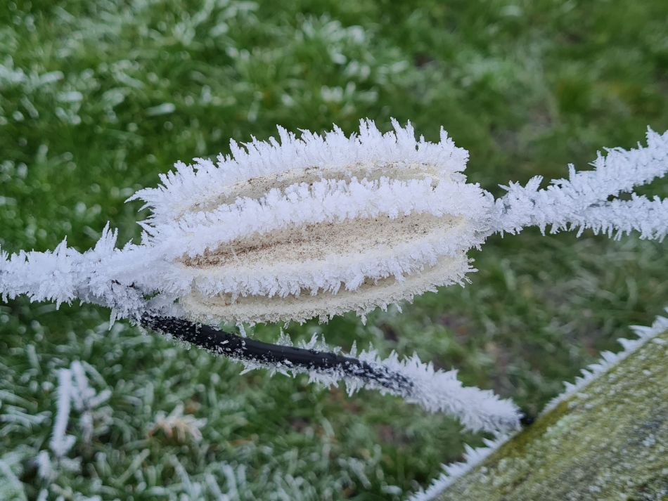 2022-12-11 40 Shoe Devil and Fen Farm.jpg