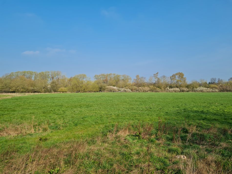 2023-04-09 02 Bungay Bath Hills.jpg