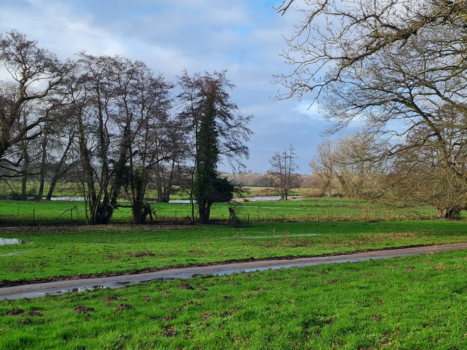 2024-01-03 13 Bigod Way and Bath Hills.jpg