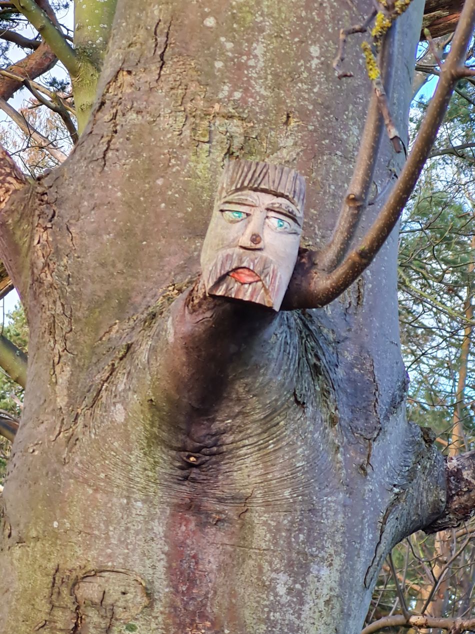 2024-01-03 14 Bigod Way and Bath Hills.jpg