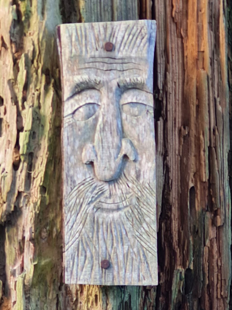 2024-01-03 16 Bigod Way and Bath Hills.jpg