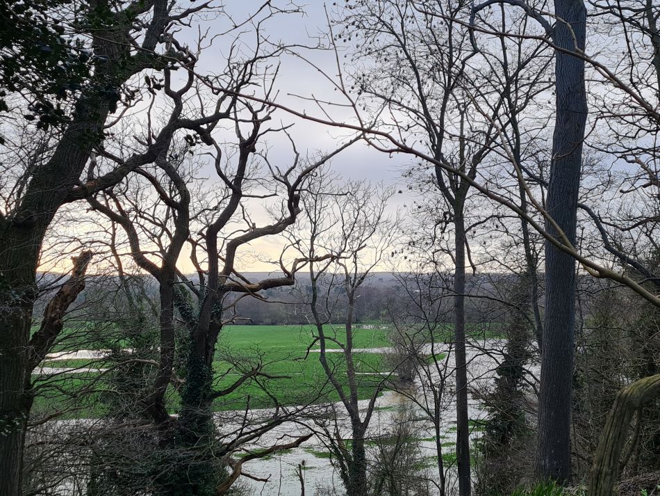 2024-01-03 19 Bigod Way and Bath Hills.jpg