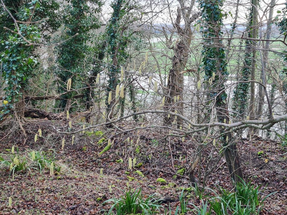 2024-01-03 20 Bigod Way and Bath Hills.jpg