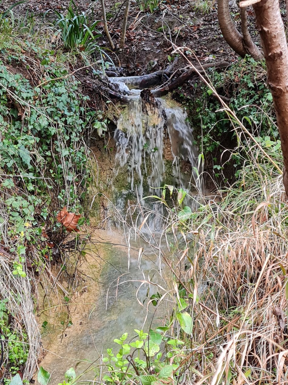 2024-01-03 26 Bigod Way and Bath Hills.jpg