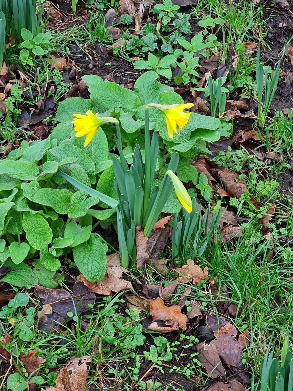 2024-01-03 33 Bigod Way and Bath Hills.jpg