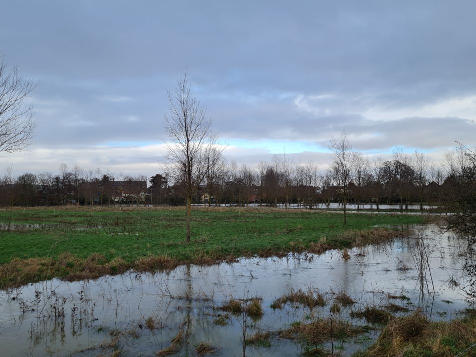 2024-01-03 35 Bigod Way and Bath Hills.jpg