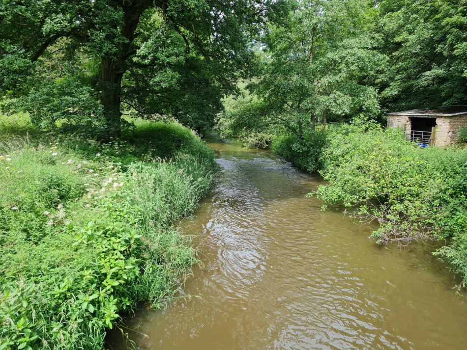 2021-07-05 01 RSPB Consall Nature Park.jpg