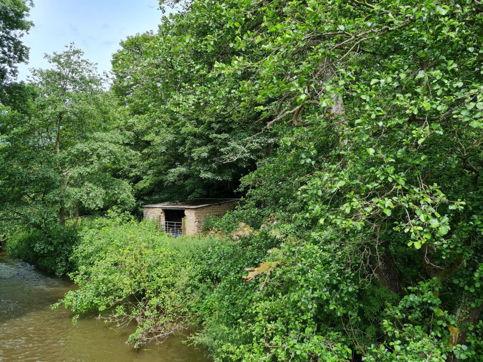 2021-07-05 04 RSPB Consall Nature Park.jpg