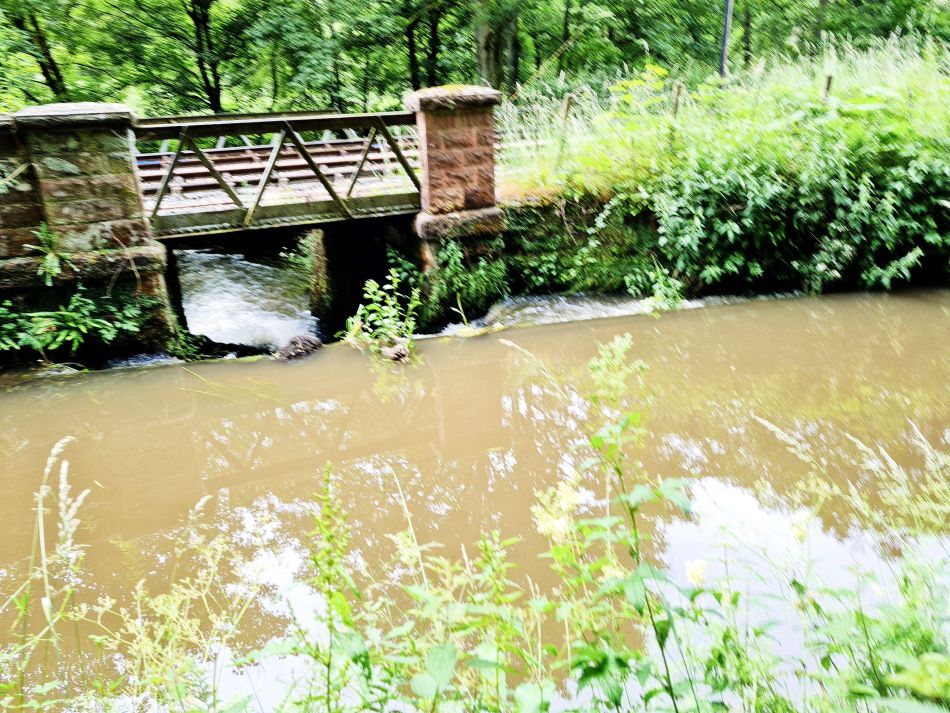 2021-07-05 08 RSPB Consall Nature Park.jpg