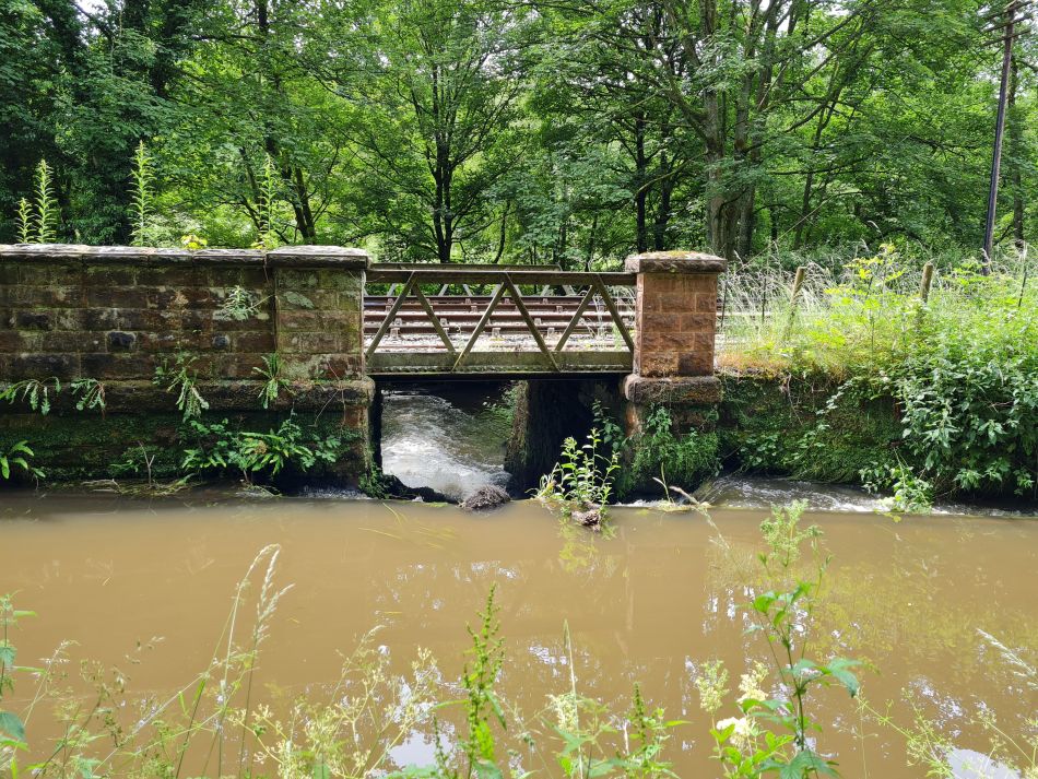 2021-07-05 09 RSPB Consall Nature Park.jpg