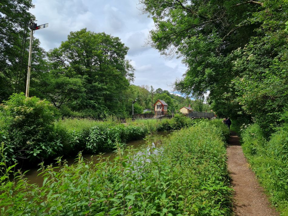2021-07-05 10 RSPB Consall Nature Park.jpg