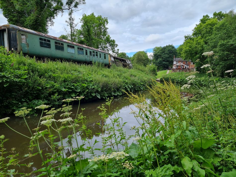 2021-07-05 12 RSPB Consall Nature Park.jpg
