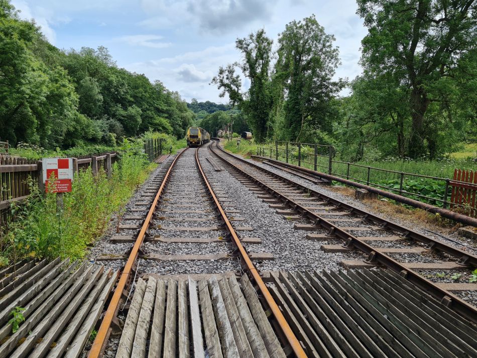2021-07-05 14 RSPB Consall Nature Park.jpg