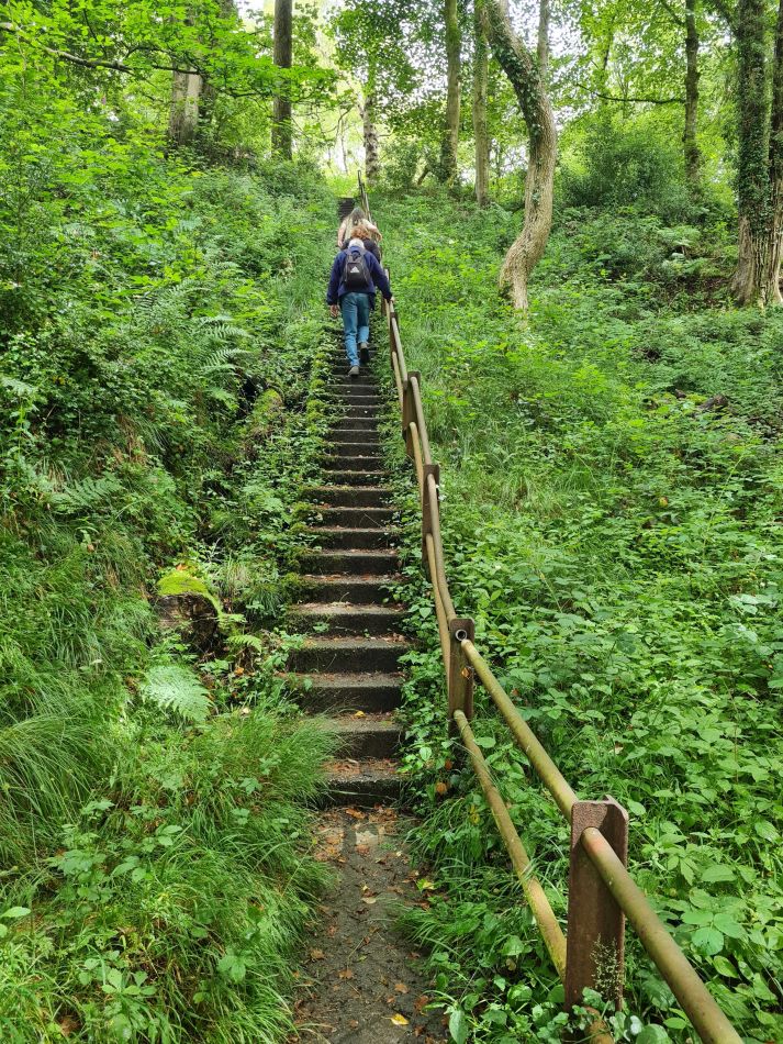 2021-07-05 16 RSPB Consall Nature Park.jpg
