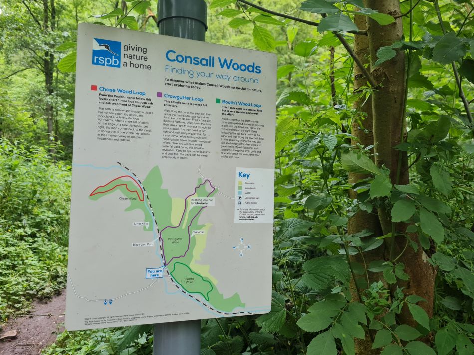 2021-07-05 17 RSPB Consall Nature Park.jpg