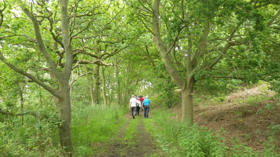 2017-05-31 03 Blythburgh Area.jpg