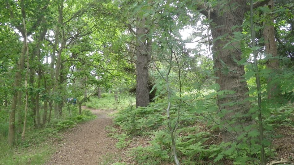 2017-05-31 05 Blythburgh Area.jpg