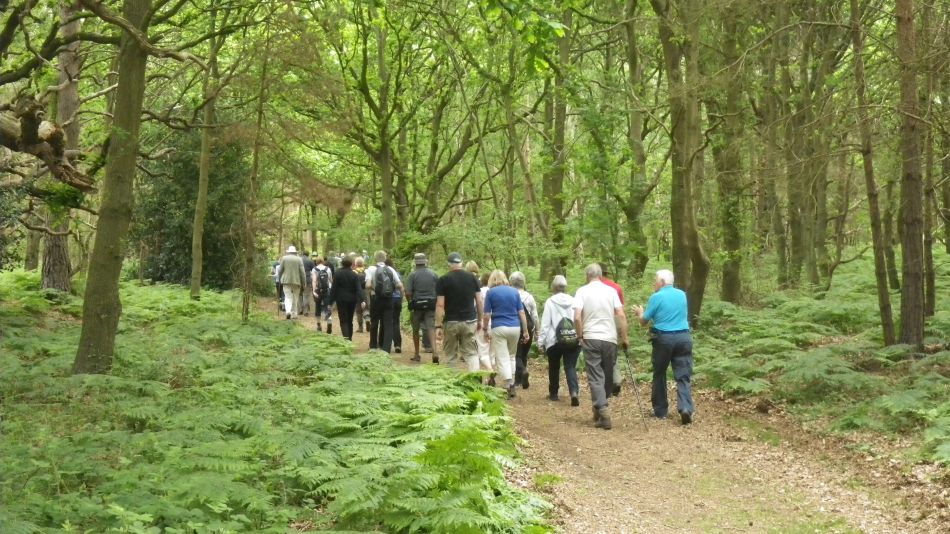 2017-05-31 06 Blythburgh Area.jpg